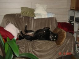 clochette_20_20220624_1600155395