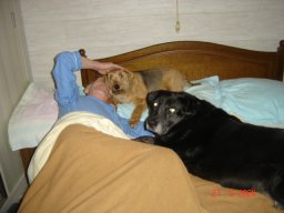 dsc01772