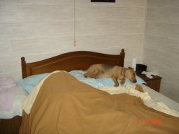 dsc01768