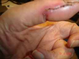 dsc01811