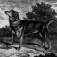 Schwarzer und feuriger Terrier